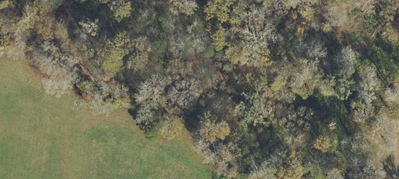 Residential Land in Alachua