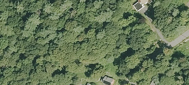 6.6 Acres Near Quabbin Reservoir