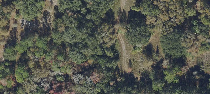 Prime Land on US Hwy 301
