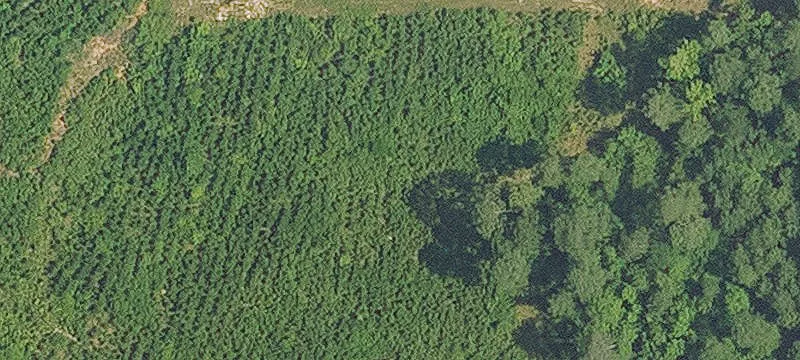 Residential Land in Keithville, LA