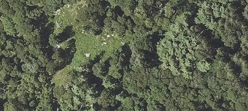 Chilmark South Shore Land Parcel