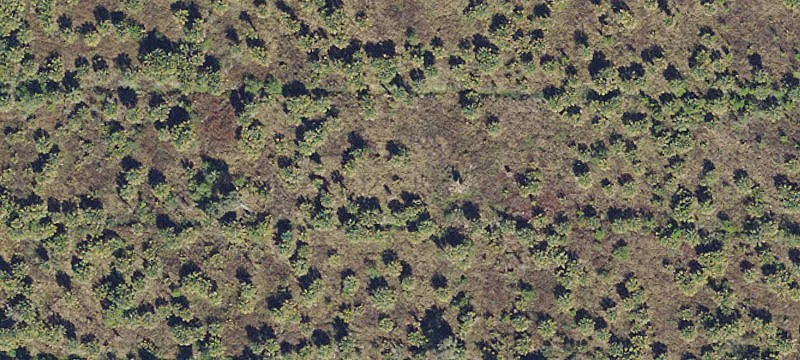 Golden Gate Estates Land Parcel