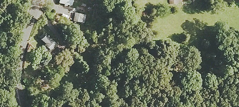 Burlington Specialty Property For Sale