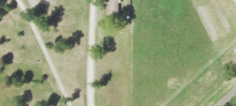 Heavily Wooded Pine Plantation
