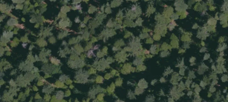 Large Level Lot on Paved Road