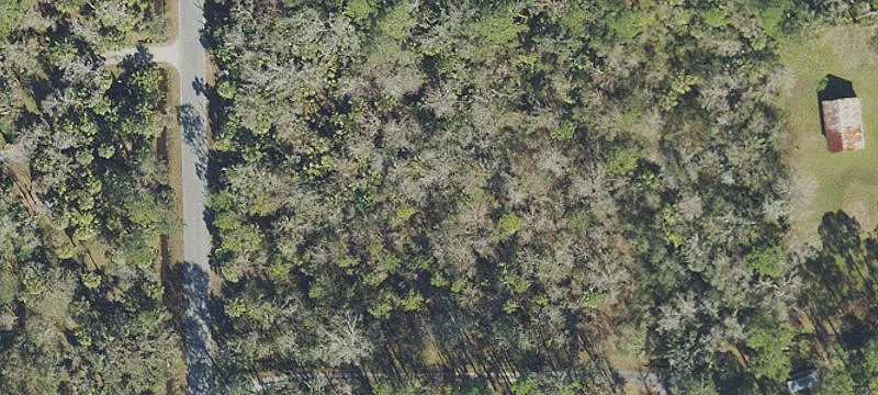 Tomoka Farm Land Opportunity