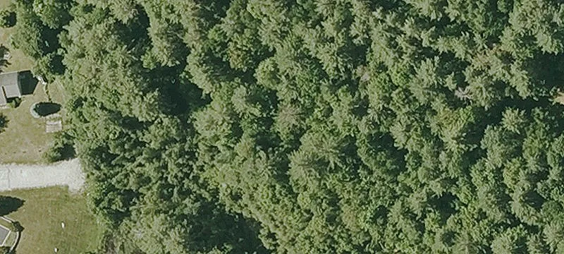 Residential Lot in Sugar Brook