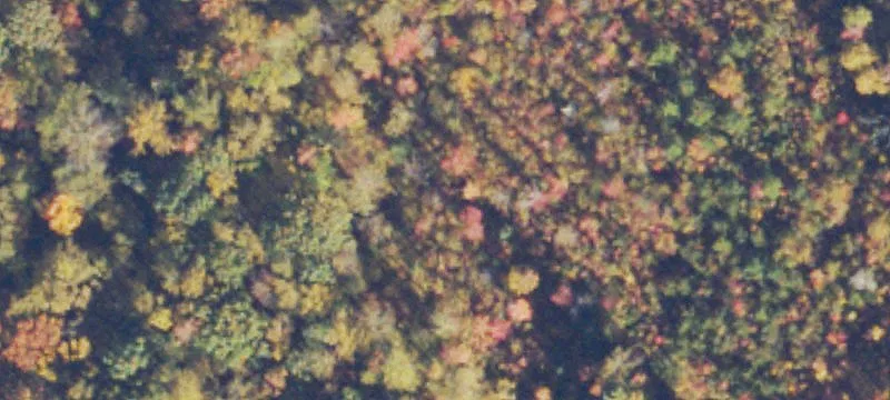 Wooded Land Parcel For Sale