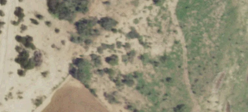 Brown County Land with Hardwoods