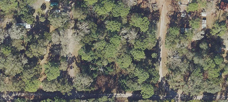 Altoona Land Near Ocala Forest