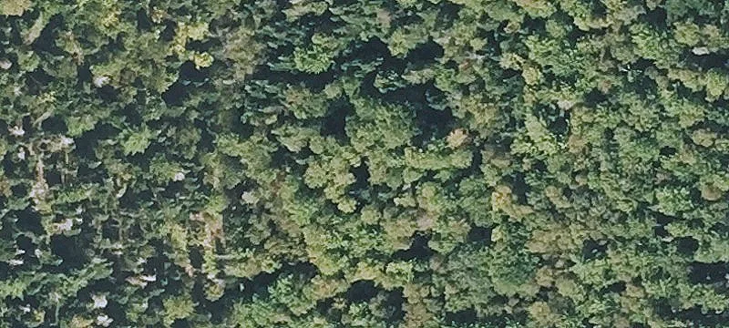 11.37 Acres with Mountain Views