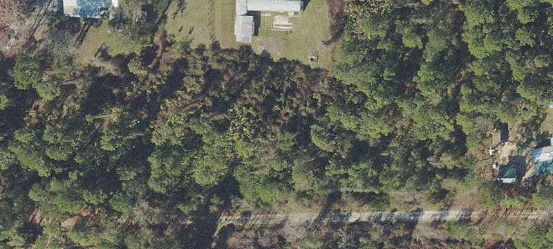 Wooded Lot in Crescent City