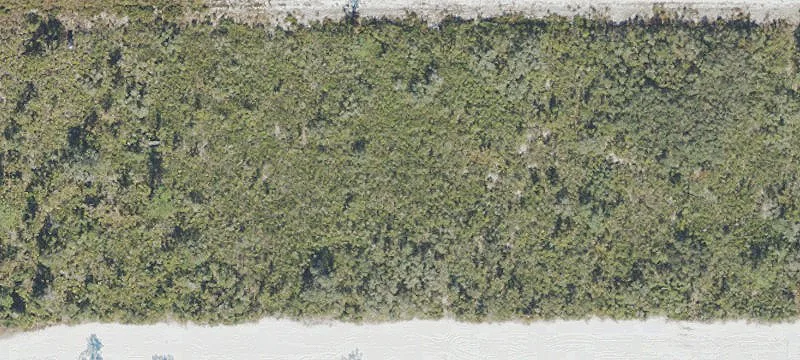 Prime Corner Lot Opportunity