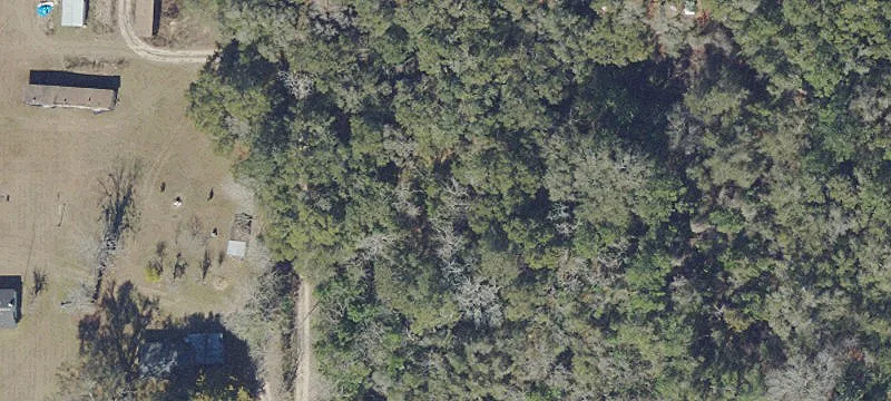 55 Acres in Horse Country