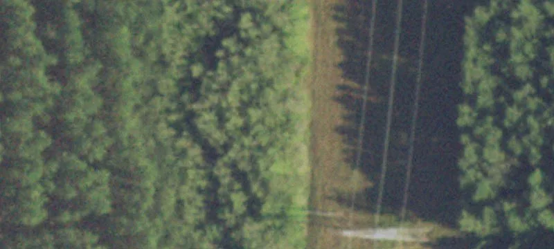 East Texas Land Tract
