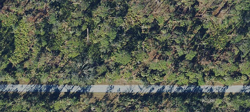 Residential Lot in Coastal Florida