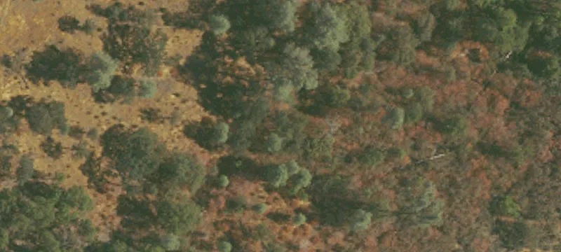 Historic Mariposa Mine Land Parcel