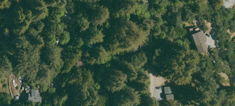 Redwood Forest Land Parcel