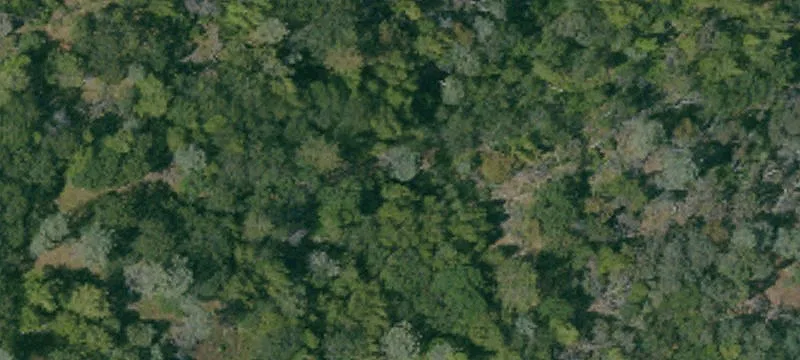 Pristine Land with Natural Spring