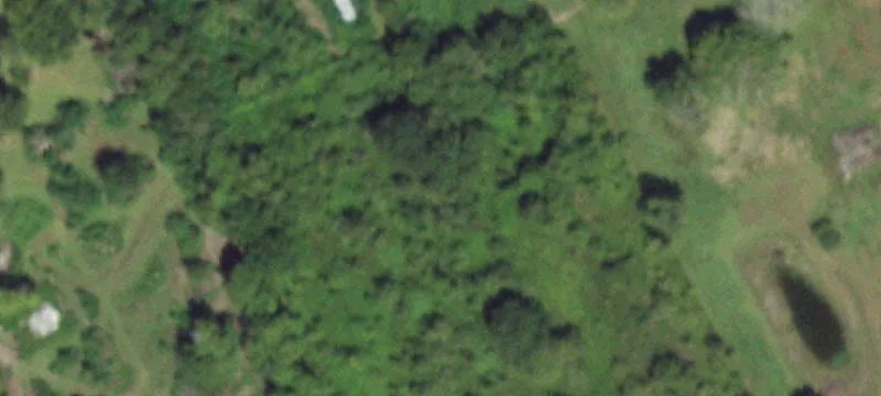 9.99 Acres in Alvin, TX