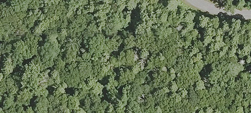 River Oaks Homesite Opportunity