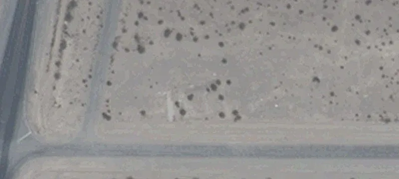 Highway 160 Frontage Land Parcel