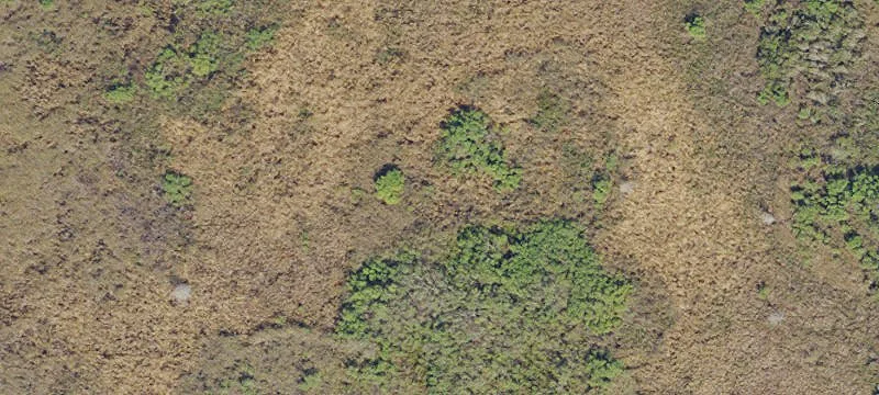 Punta Gorda 5-Acre Land Parcel