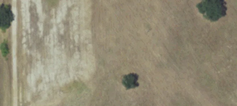 Unrestricted Land in Anderson ISD
