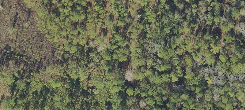 Residential Land in Poinciana