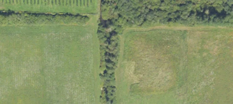Wooded Parcel for Home Building