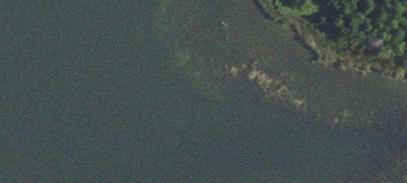 20 Acres on Turkey Hill