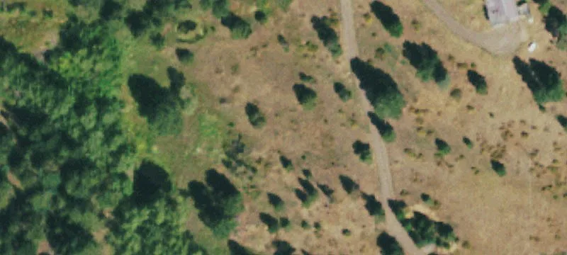 Wooded Land with Mountain Views