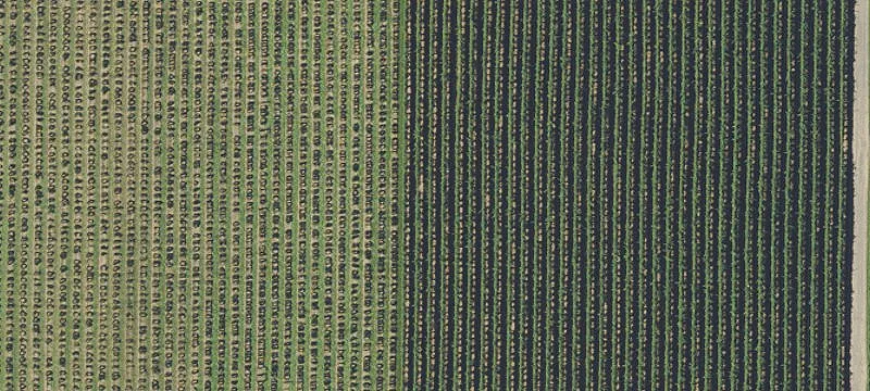 Willamette Riverfront Farm Opportunity