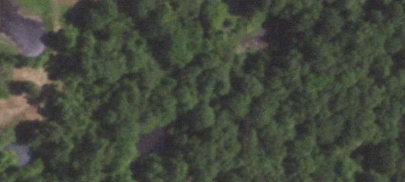 Updated Cabin with Acreage