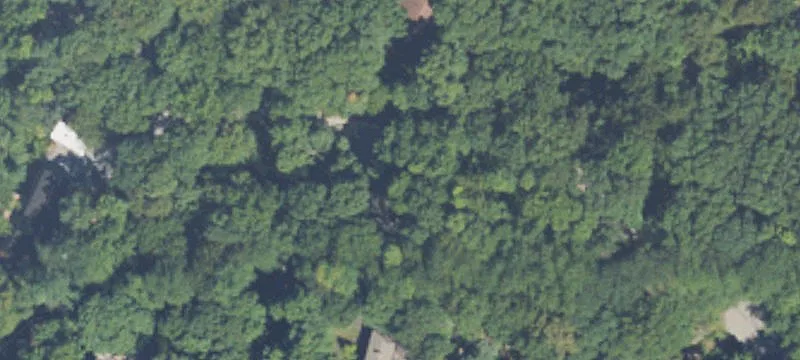 Wooded Lot Near Lake Michigan