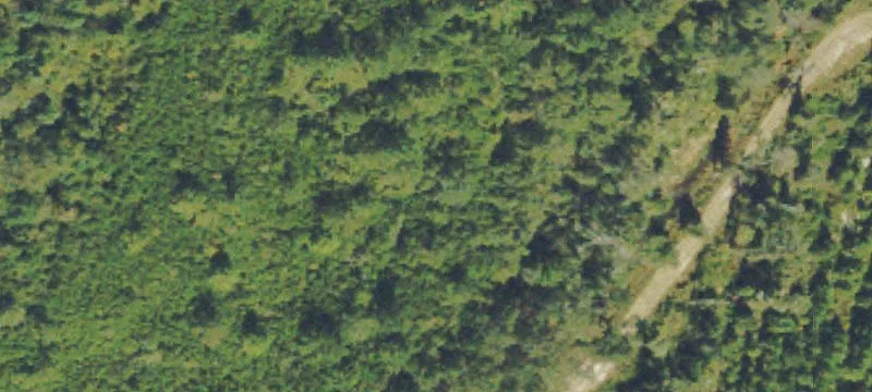 Spacious 18-Acre Country Parcel