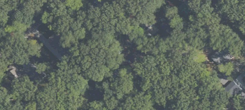 Wooded Land Near Higgins Lake
