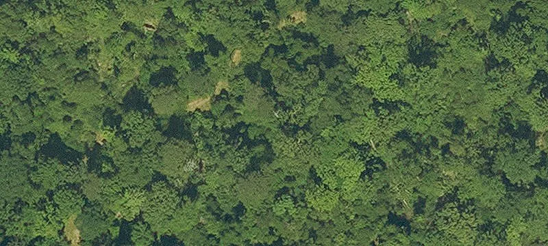 Residential Lot Near Baton Rouge