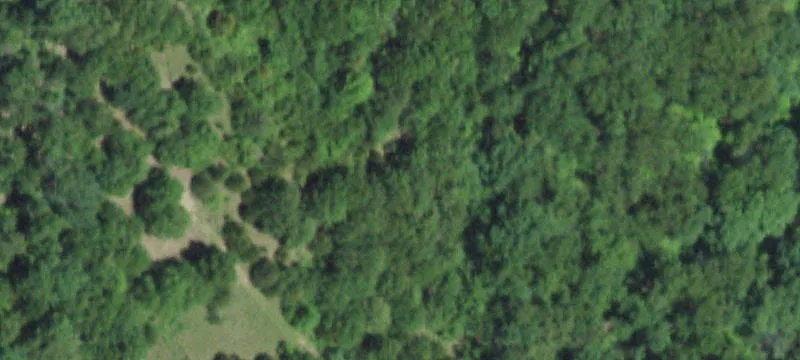 Ozark Land with Shop Building