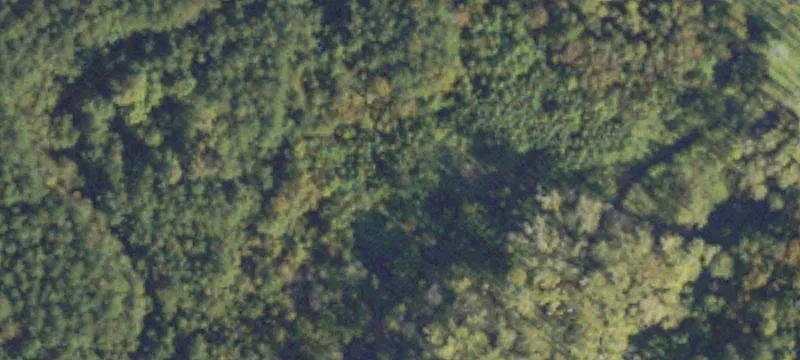 Wooded Lot Near Surry Ferry
