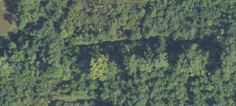 6 Acres Wooded Land Opportunity
