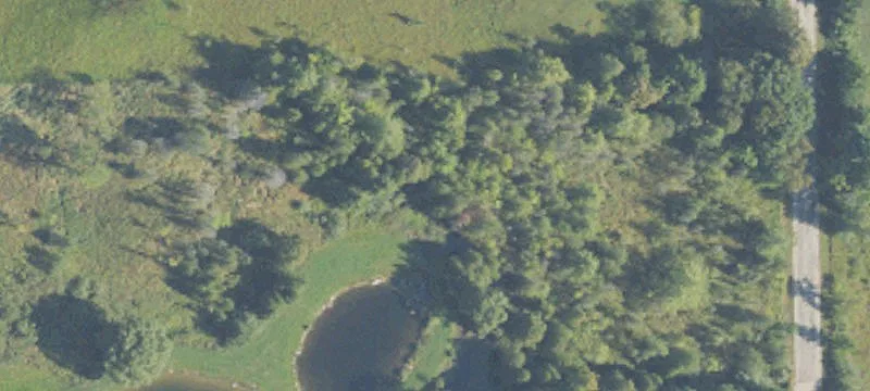 10 Acres Hunting and Recreation