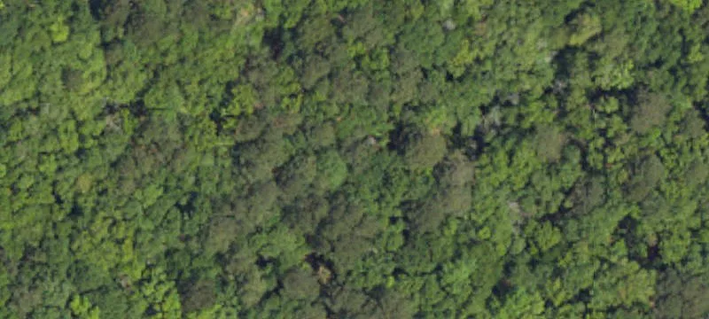 Wadmalaw Island Land Opportunity