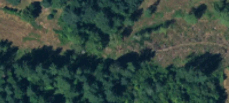 Winlock City Lots Investment Opportunity