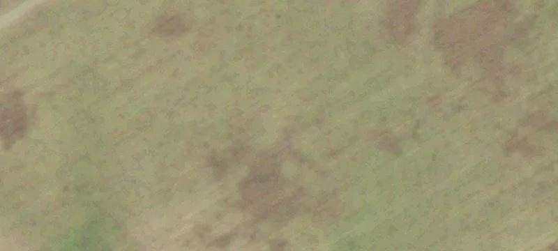 Land with Brazos River Access