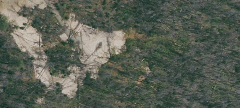 Pope Valley Vineyard Opportunity