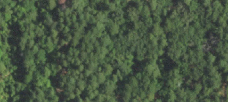 Longview Land Near Hospital