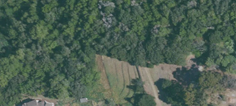 Hayward Hills View Lot