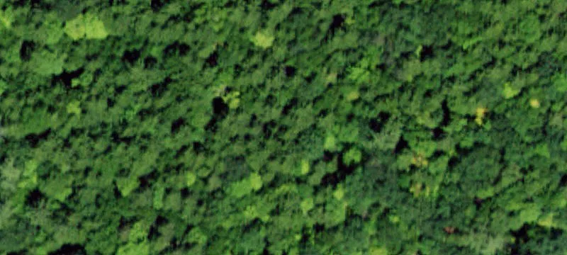 Adirondack Forestland with Hudson River Frontage