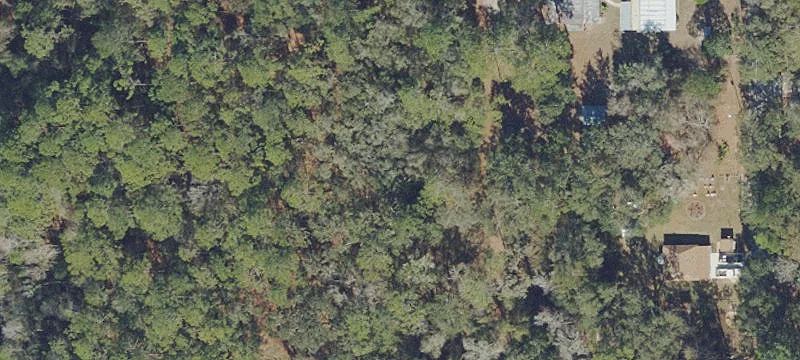 Land Near Ocala National Forest